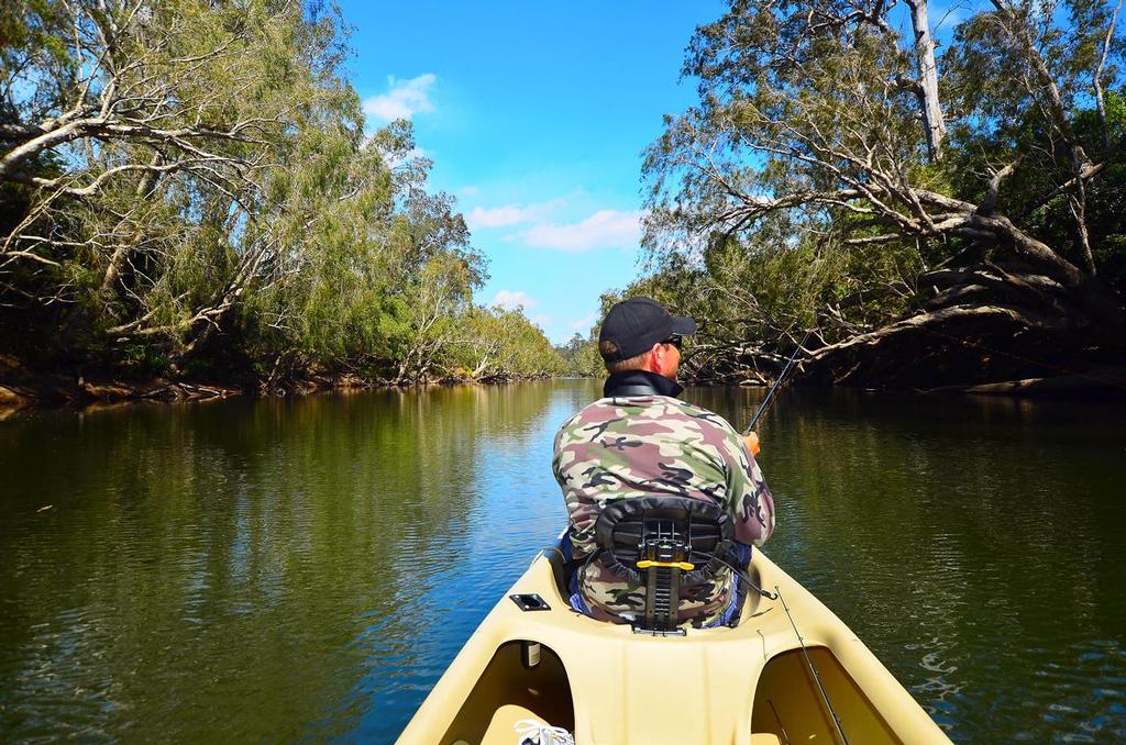 Cliff working his little plastic back from a shadowy area as we search for saratoga in the canoe. © Lee Brake